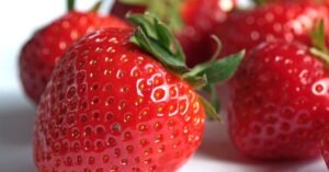 Nutritious Foods: Discover 30 Underrated Choices for a Healthier Diet